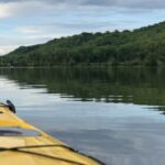 Utilice este título En 2009, Minnesota trató el lago Pickerel con veneno para peces para eliminar la carpa común; posteriormente, la claridad del agua aumentó casi un 600% y la cobertura vegetal pasó del 4,6% al 90% y cree en base a ese titulo original un titulo nuevo, preciso, comprensible y que no pierda relacion con el titulo original. Necesito que me devuelvas solo y nada mas que el titulo nuevo.
