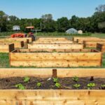 Utilice este título En 2014, un barrio era conocido como un “desierto alimentario”; pero un hombre convirtió un campo de fútbol universitario en una granja que generó 30.000 libras de productos agrícolas y cree en base a ese titulo original un titulo nuevo, preciso, comprensible y que no pierda relacion con el titulo original. Necesito que me devuelvas solo y nada mas que el titulo nuevo.