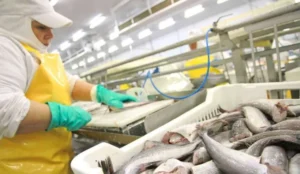 Impulsan la merluza fresca para sostener el empleo en Puerto Deseado