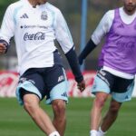Utilice este título Scaloni liberó a Leonel Flores y a Tomás Palacios para que puedan jugar con Boca y Estudiantes y cree en base a ese titulo original un titulo nuevo, preciso, comprensible y que no pierda relacion con el titulo original. Necesito que me devuelvas solo y nada mas que el titulo nuevo.