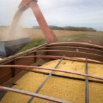 Utilice este título  Se dispararon las ventas de soja por la mejora de los precios en el mercado local y cree en base a ese titulo original un titulo nuevo, preciso, comprensible y que no pierda relacion con el titulo original. Necesito que me devuelvas solo y nada mas que el titulo nuevo.