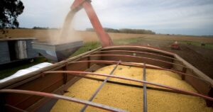 Se dispararon las ventas de soja por la mejora de los precios en el mercado local