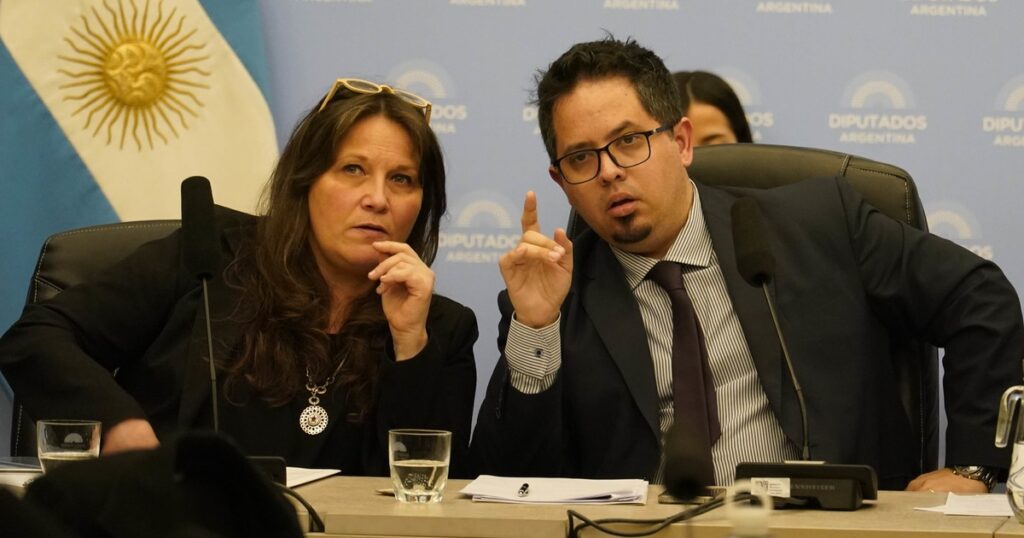el oficialismo de Diputados se alzó con el dictamen de mayoría, pero no tiene los votos garantizados para el recinto