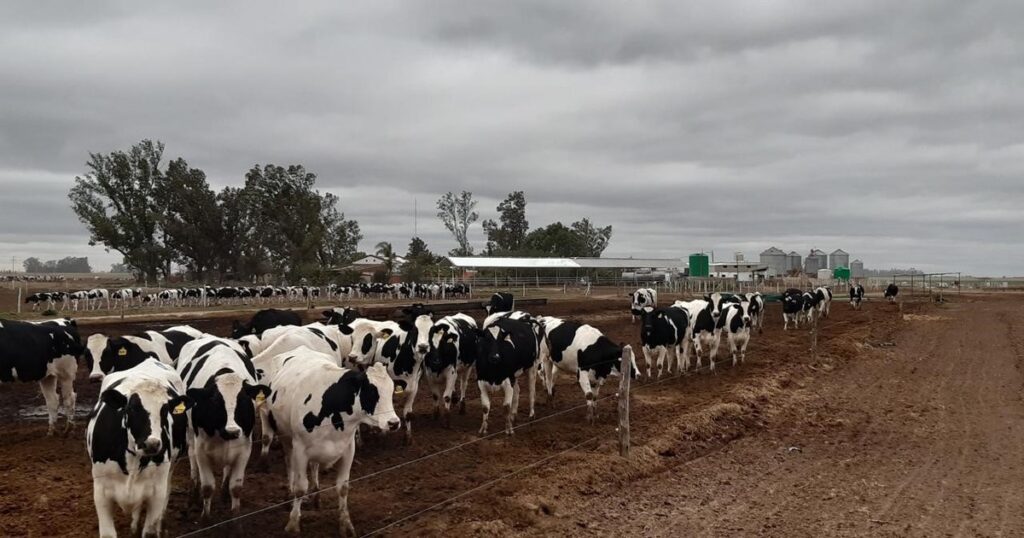 ingresaron casi US$ 1.000 millones y se espera que se duplique esa cifra a fin de año