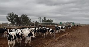 ingresaron casi US$ 1.000 millones y se espera que se duplique esa cifra a fin de año