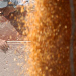 Utilice este título  las exportaciones saltaron 42% en lo que va del año y cree en base a ese titulo original un titulo nuevo, preciso, comprensible y que no pierda relacion con el titulo original. Necesito que me devuelvas solo y nada mas que el titulo nuevo.