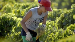 La Feria de la Identidad celebra a la mujer rural con paseo artesanal y shows en vivo